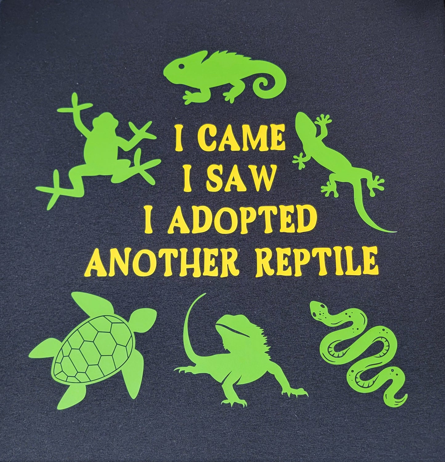 I Came, I Saw, I Adopted Another Reptile