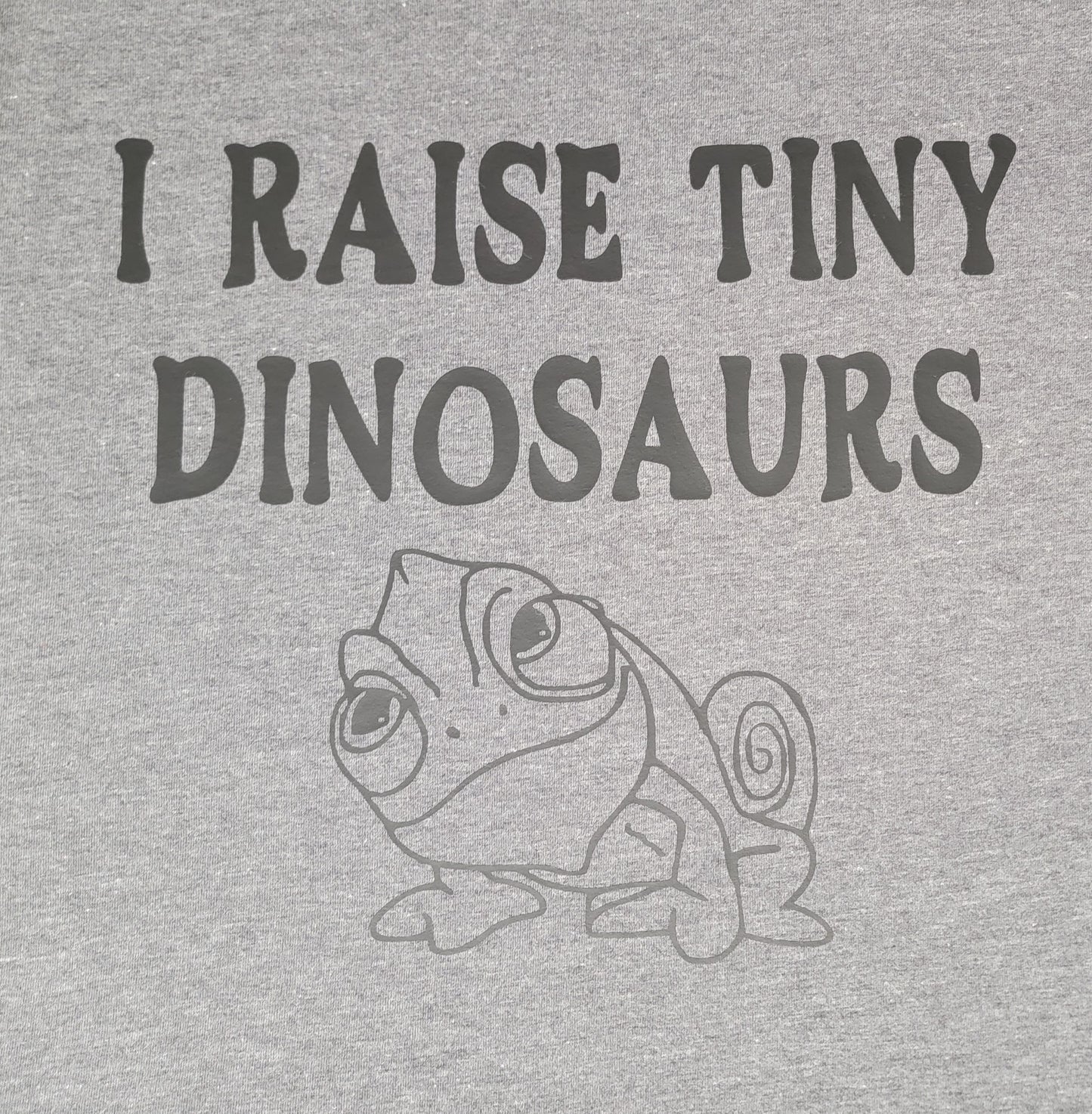 I Raise Tiny Dinosaurs