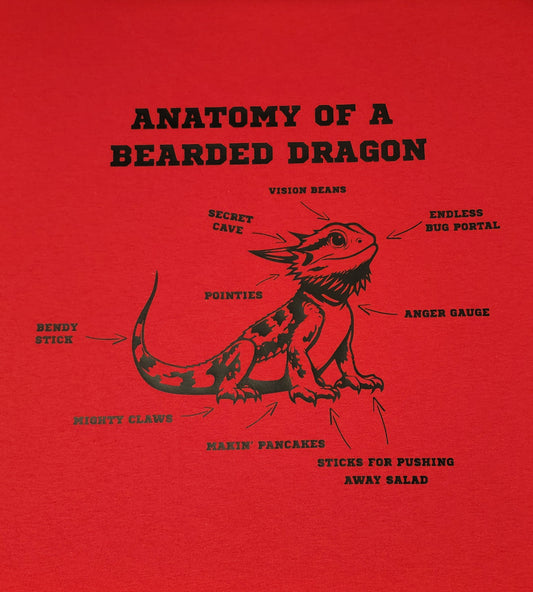 Anatomy of a Bearded Dragon