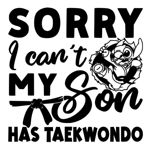 Sorry I Can't- Son